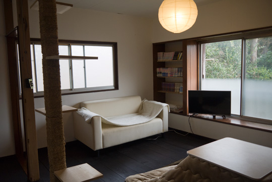 現在のリビングルーム。廊下との壁を取り払っただけで、もとが6畳の部屋だったとは思えないほど広い空間になりました